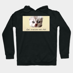 Ceci n'est pas une chat Hoodie